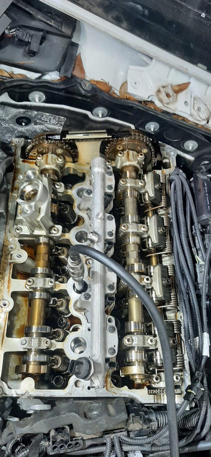 BMW engine bay valve train close-up